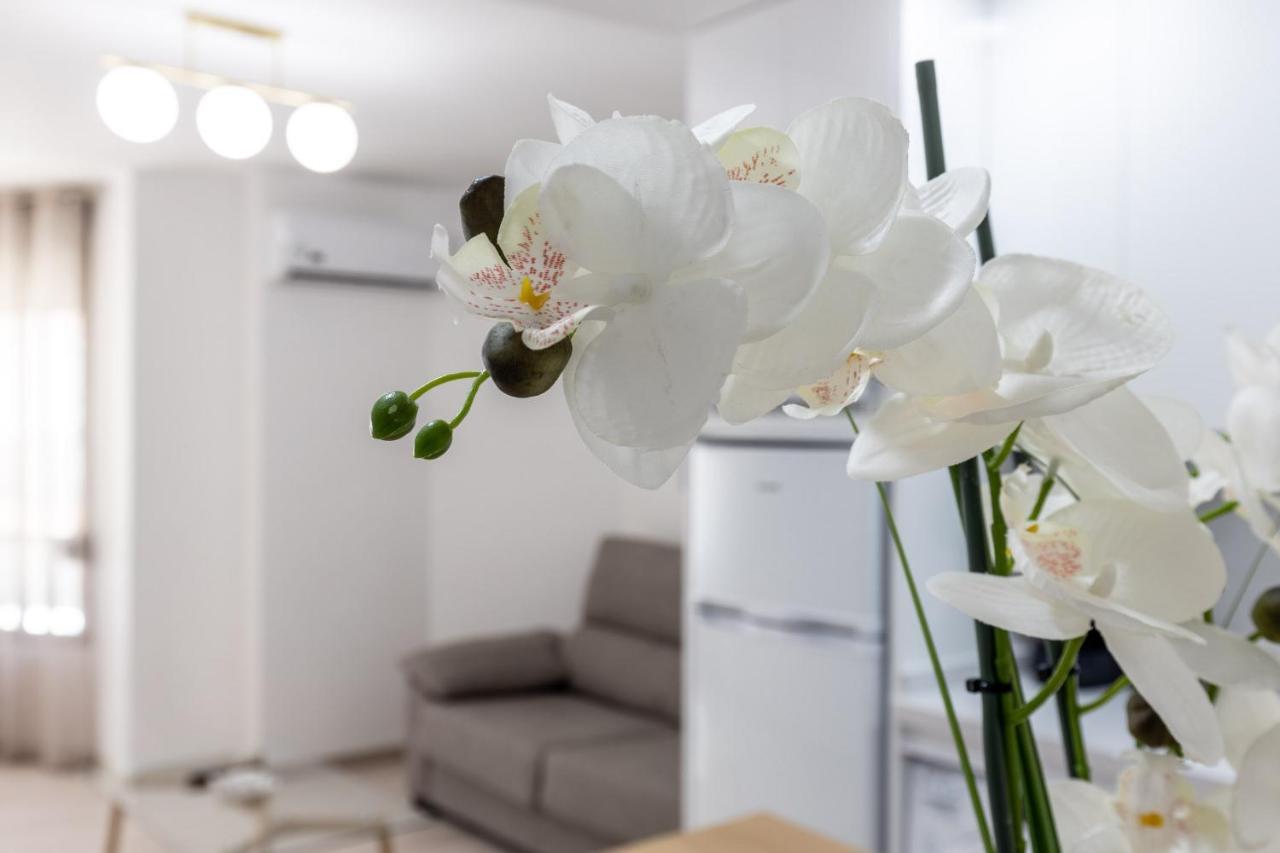 Arabial Deluxe III Apartment Granada Luaran gambar